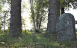 Brandriet markensteen